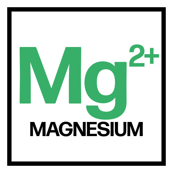 Magnesium