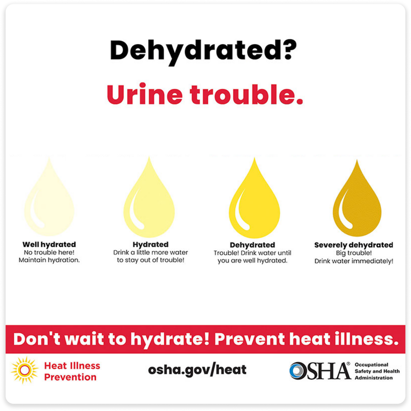 Urine Color Chart for Dehydration